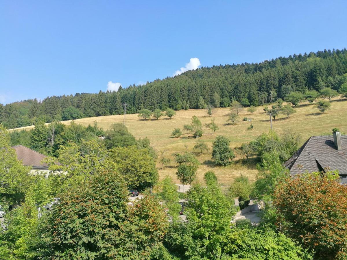 Pension Zur Rose Bad Peterstal-Griesbach Extérieur photo